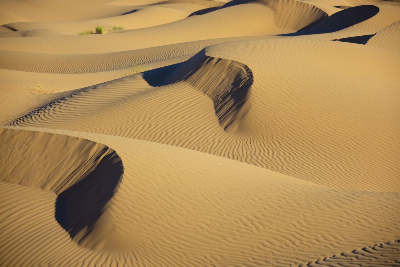 Bivouac La Dune Blanche M'Hamid Exterior photo
