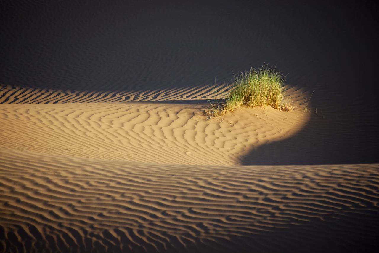 Bivouac La Dune Blanche M'Hamid Exterior photo